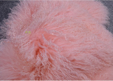 Κίνα Το μογγολικό Sheepskin ροζ κουβερτών έβαψε την πρόσθετη μακρυμάλλη θιβετιανή περιποίηση ενδυμάτων γουνών αρνιών προμηθευτής