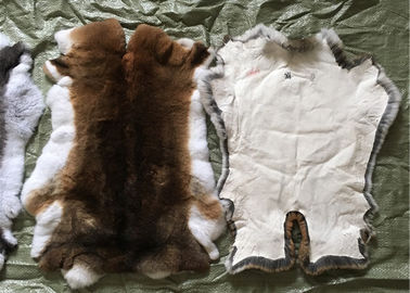 Κίνα Κουρευμένη χρήση παλτών γουνών κουνελιών, χνουδωτά δέρματα γουνών κουνελιών τριχών άσπρα για το ένδυμα προμηθευτής