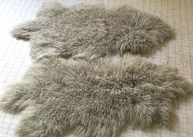 Κίνα Το θιβετιανό ύφασμα γουνών αρνιών μογγολικό για ρίχνει το μαξιλάρι γκρίζα 60 * 90cm προμηθευτής