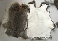 Φιλικό μαυρισμένο δέρμα κουνελιών Rex Eco μήκος γουνών 1.5-3 εκατ. για το εγχώρια κλωστοϋφαντουργικό προϊόν/τα μαξιλάρια