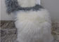 Καλό Sheepskin μαξιλαριών εδρών εγχώριων μογγολικό γουνών χειροποίητο θιβετιανό μαξιλάρι μαλλιού προμηθευτής
