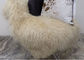 Γκρίζο μακρύ σγουρό Sheepskin τρίχας μογγολικό καθιστικό κουβερτών με το μέγεθος ποδιών 2*4 προμηθευτής
