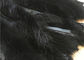 Μεγάλου μεγέθους γνήσιο αποσπάσιμο μαγκάλι περιλαίμιων γουνών ρακούν μαλακό για το χειμερινό σακάκι προμηθευτής