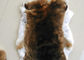 Κουρευμένη χρήση παλτών γουνών κουνελιών, χνουδωτά δέρματα γουνών κουνελιών τριχών άσπρα για το ένδυμα προμηθευτής