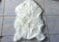 Διακοσμητική μεγάλη άσπρη κουβέρτα 2 γουνών Faux δωματίων * 3 FT, ενιαία κουβέρτα πατωμάτων γουνών Faux δερμάτων προμηθευτής