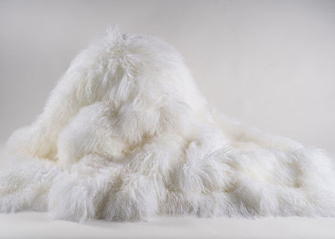 Γκρίζο μακρύ σγουρό Sheepskin τρίχας μογγολικό καθιστικό κουβερτών με το μέγεθος ποδιών 2*4