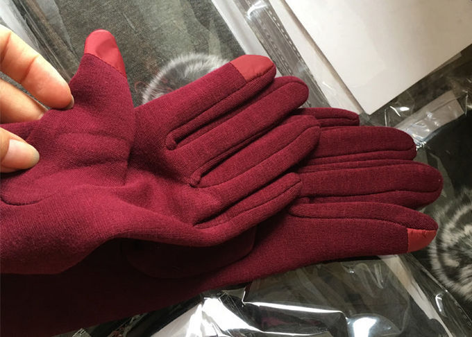 Γάντια των χειμερινών γυναικών με τα άκρα δακτύλου οθόνης αφής, μαλακά γάντια για την τηλεφωνική χρήση κυττάρων 