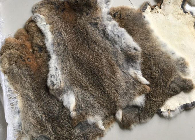 γούνα κουνελιών 30*40cm η ομαλή βαμμένη σφυροκοπά θερμό άνετο για το χειμερινό ένδυμα