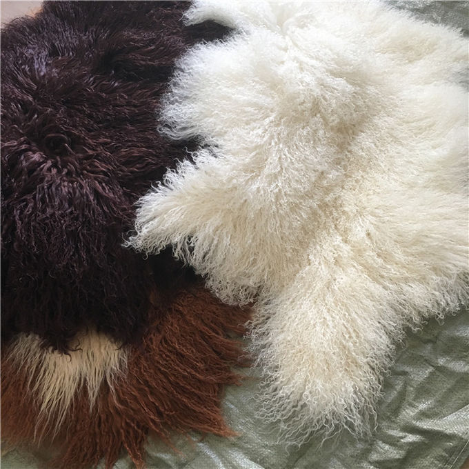 Η μακρυμάλλης φυσική σγουρή μογγολική άσπρη γούνα Materiral μαλλιού προβάτων για το κρεβάτι ρίχνει