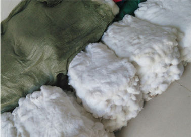 Κίνα Η γνήσια γούνα κουνελιών σακακιών για το χειμώνα ρίχνει, δέρματα γουνών κουνελιών 22*30cm άσπρα  προμηθευτής