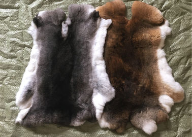 Κίνα Μαυρισμένο προσαρμοσμένο γούνα μέγεθος δερμάτων κουνελιών Rex χλόης για τα εξαρτήματα/ιματισμός προμηθευτής