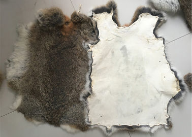 Κίνα Φιλικό μαυρισμένο δέρμα κουνελιών Rex Eco μήκος γουνών 1.5-3 εκατ. για το εγχώρια κλωστοϋφαντουργικό προϊόν/τα μαξιλάρια προμηθευτής