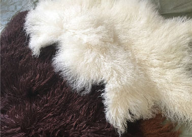 Κίνα Μακριές σγουρές Sheepskin υλικές φυσικές άσπρες θιβετιανές lambswool μογγολικές δορές γουνών προμηθευτής