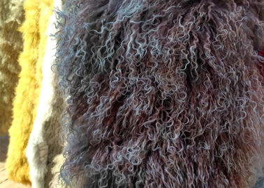 Κίνα Πραγματικό μακρυμάλλες Sheepskin γνήσιο μογγολικό lambswool σγουρό κάλυμμα γουνών προβάτων προμηθευτής