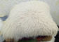 Ένα πλαισιωμένο μογγολικό οσφυικό μαξιλάρι αρνιών, μογγολικό Sheepskin 16*16 ρίχνει τα μαξιλάρια  προμηθευτής