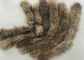 Θερμός μαλακός περιλαίμιων γουνών ρακούν παλτών γνήσιος μεγάλος με το φυσικό καφετί χρώμα προμηθευτής
