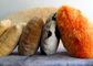 Τα μακριά διακοσμητικά μαξιλάρια μαλλιού για τον καναπέ, προεδρεύουν της καφετιάς γούνας ρίχνουν την κάλυψη μαξιλαριών προμηθευτής