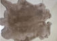 SGS πραγματικό μαυρισμένο Rex δέρμα κουνελιών με το χειμερινό σχέδιο μήκους τρίχας 22.8cm προμηθευτής