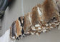 Ομαλό φυσικό καφετί χρώμα 25*35cm δερμάτων κουνελιών Rex εξαρτημάτων επένδυσης παλτών προμηθευτής