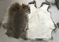 Φιλικό μαυρισμένο δέρμα κουνελιών Rex Eco μήκος γουνών 1.5-3 εκατ. για το εγχώρια κλωστοϋφαντουργικό προϊόν/τα μαξιλάρια προμηθευτής