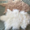Μακριές σγουρές Sheepskin υλικές φυσικές άσπρες θιβετιανές lambswool μογγολικές δορές γουνών προμηθευτής