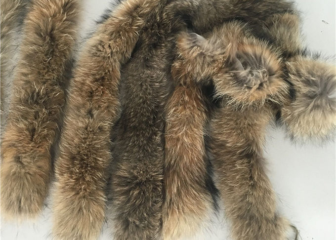 Αποσπάσιμη φυσική κουκούλα περιλαίμιων γουνών ρακούν μακριά για το παλτό 80cm σακακιών ατόμων
