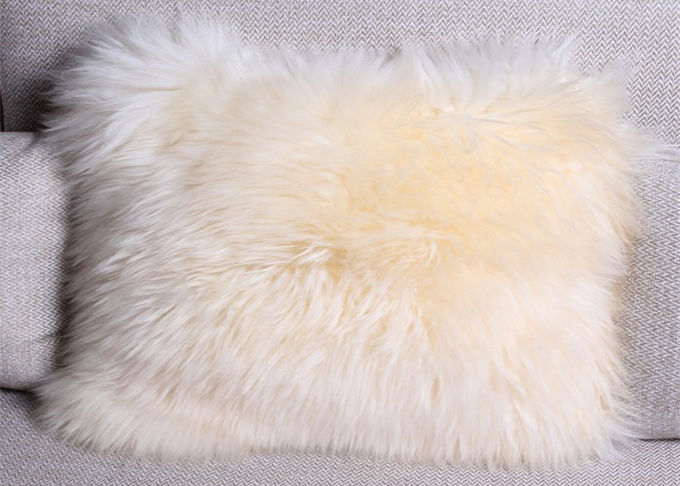 Τα μακριά διακοσμητικά μαξιλάρια μαλλιού για τον καναπέ, προεδρεύουν της καφετιάς γούνας ρίχνουν την κάλυψη μαξιλαριών