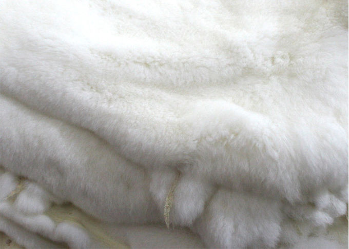 SGS πραγματικό μαυρισμένο Rex δέρμα κουνελιών με το χειμερινό σχέδιο μήκους τρίχας 22.8cm