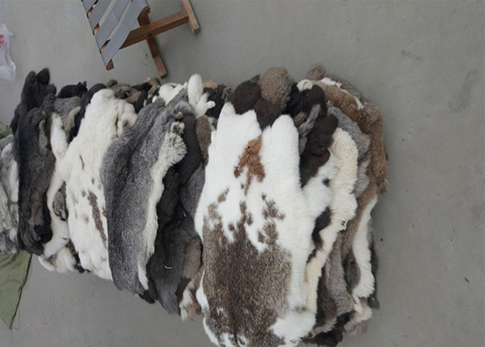 Παλτό που ευθυγραμμίζει ολόκληρη την πραγματική μαλακή χνουδωτή βαριά πυκνότητα δερμάτων κουνελιών Rex για το χειμώνα