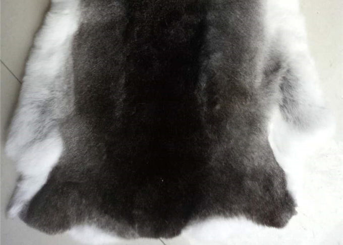 Μαυρισμένο προσαρμοσμένο γούνα μέγεθος δερμάτων κουνελιών Rex χλόης για τα εξαρτήματα/ιματισμός