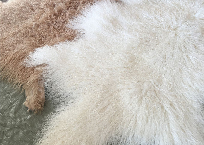 Φυσική σγουρή Sheepskin δερμάτων γουνών αρνιών μογγολική κουβέρτα πατωμάτων προβιών δορών μακριά