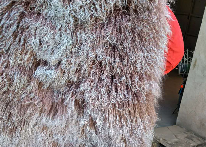Μογγολική sheepskin δορών 100% μακρυμάλλης Θιβέτ αρνιών κάλυψη πιάτων μαλλιού γουνών σγουρή