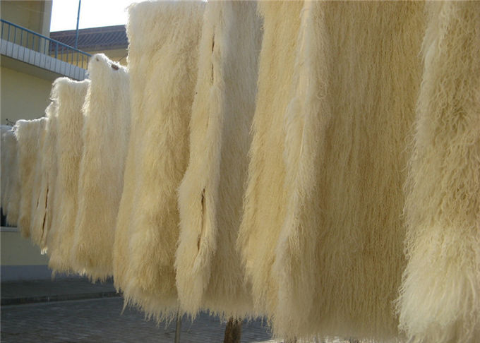Η μακρυμάλλης σγουρή μογγολική Lambswool μαξιλαριών γουνών προβάτων θιβετιανή γούνα ρίχνει το μαξιλάρι